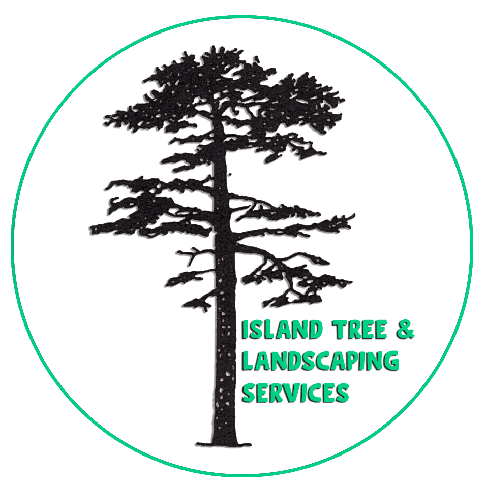 Island Tree & Landscaping Services / Gary Wilson